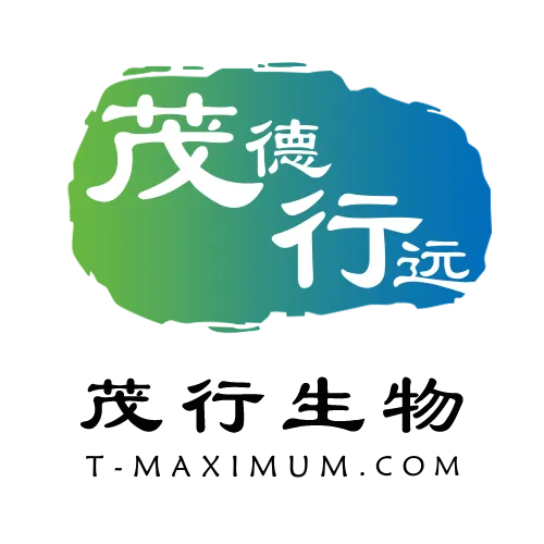 空白模板 (4).png